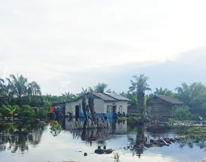Kondisi banjir di daerah dusun Podo Rukun, kepenghuluan Pasir Limau Kapas , kecamatan Palika, Rohil.