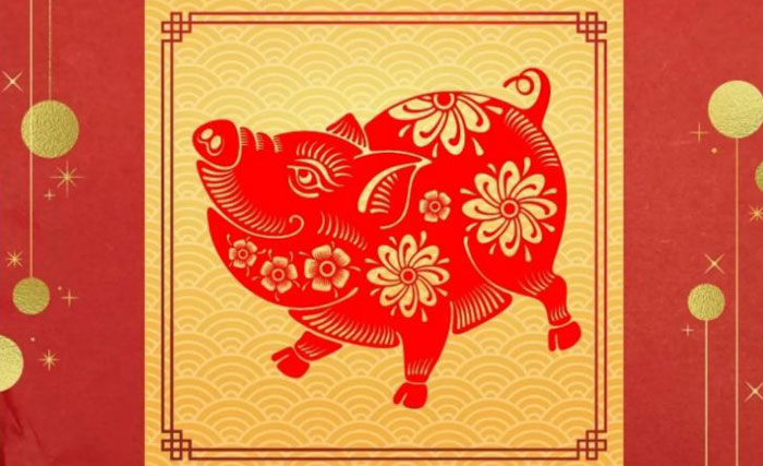 Ilustrasi shio babi.