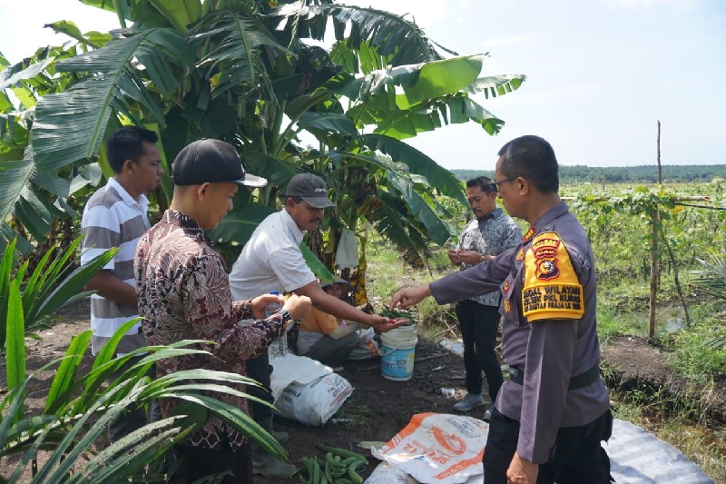 Kapolsek Pangkalan Kuras AKP Sogermansyah saat berdialog dengan petani di Desa Betung, Kamis (24/10/2024).