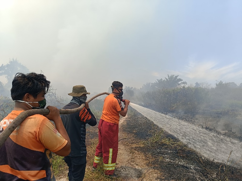 Personel BPBD Kabupaten Kampar memadamkan api yang membakar lahan di Desa Karya Indah, Kecamatan Tapung, Kabupaten Kampar, Ahad (27/10/2024).