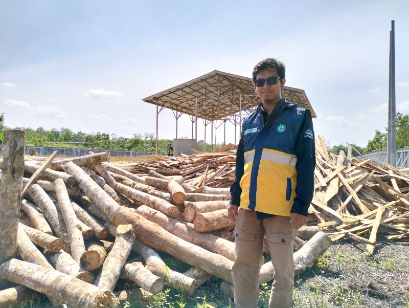 Business Development Engineer PT Prima Khatulistiwa Sinergi (PKS), Muhammad Zaki, berdiri di antara kayu karet yang menjadi bahan baku woodchips, Rabu (23/10/2024).