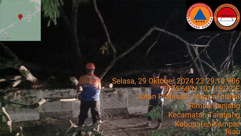 Personel BPBD Kampar membersihkan pohon tumbang di Rimbo Panjang Kecamatan Tambang, Selasa malam (29/10/2024).