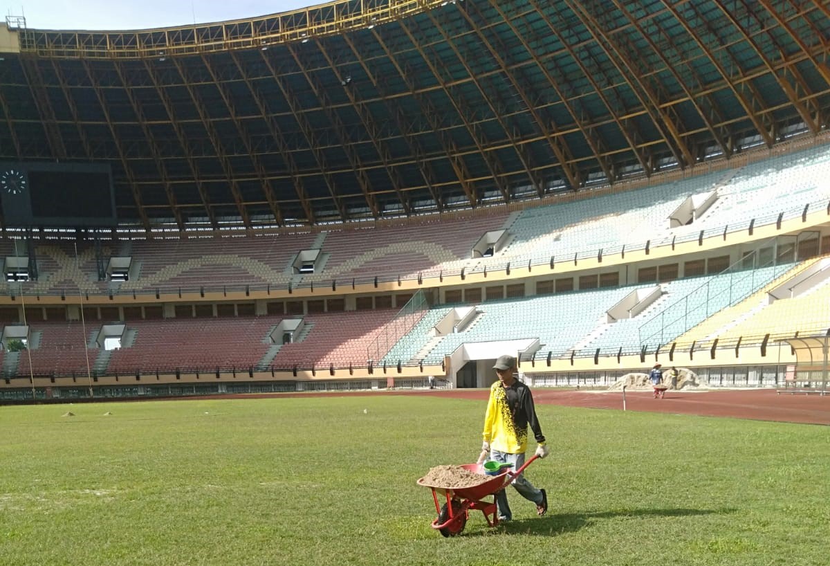Pekerja melakukan perawatan lapangan Stadion Utama Riau.