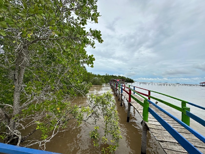 Suasana Wisata Mangrove Pangkalan Jambi, Kelurahan Sungai Pakning, Kecamatan Bagan Batu, Kabupaten Bengkalis.