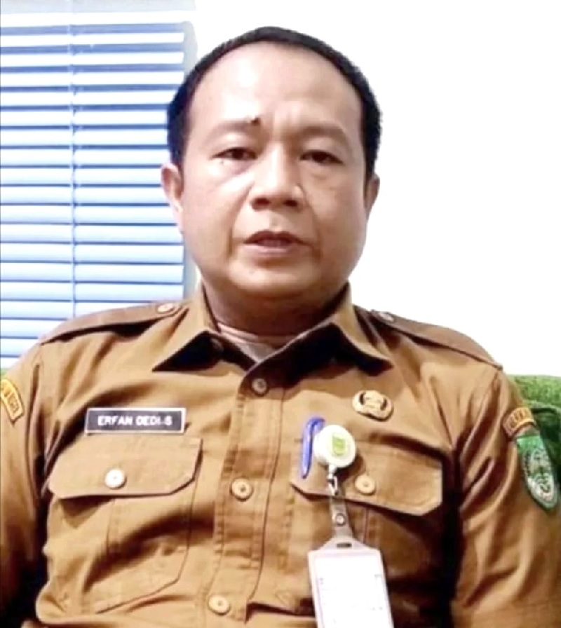 Plt Kepala BPKAD Rohul Erfan Dedi Sanjaya SSTP MSi