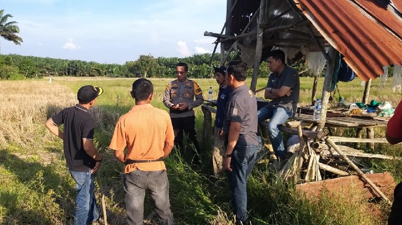 Kapolsek Pangkalan Kuras AKP Sohermansyah melakukan peninjauan lahan program ketahanan pangan di Desa Betung, Kecamatan Pangkalan Kuras, Pelalawan, Sabtu (2/11/2024).
