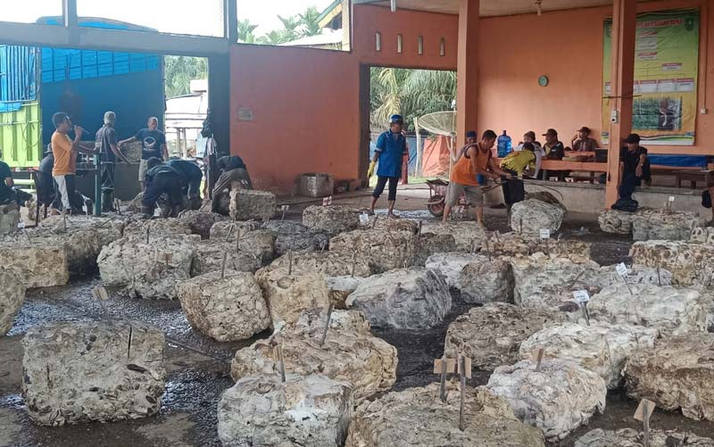 Lokasi penampungan pengeringan karet Gapoktan Maju Basamo Kopah, Kecamatan Kuantan Tengah, baru-baru ini.&nbsp;