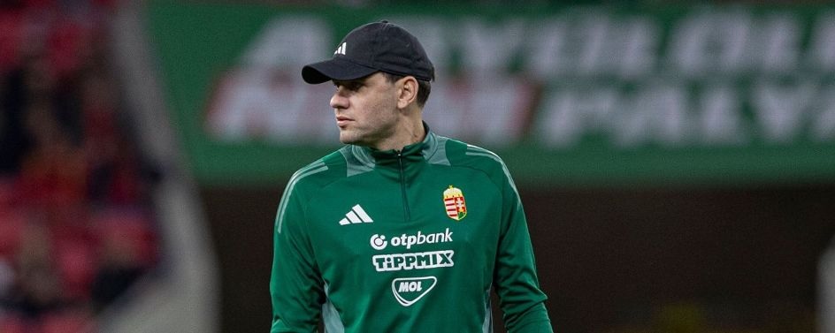 Asisten pelatih Hungaria, Adam Szalai dilarikan ke rumah sakit saat pertandingan Belanda vs Hungaria di ajang UFA Nations League di Amsterdam.