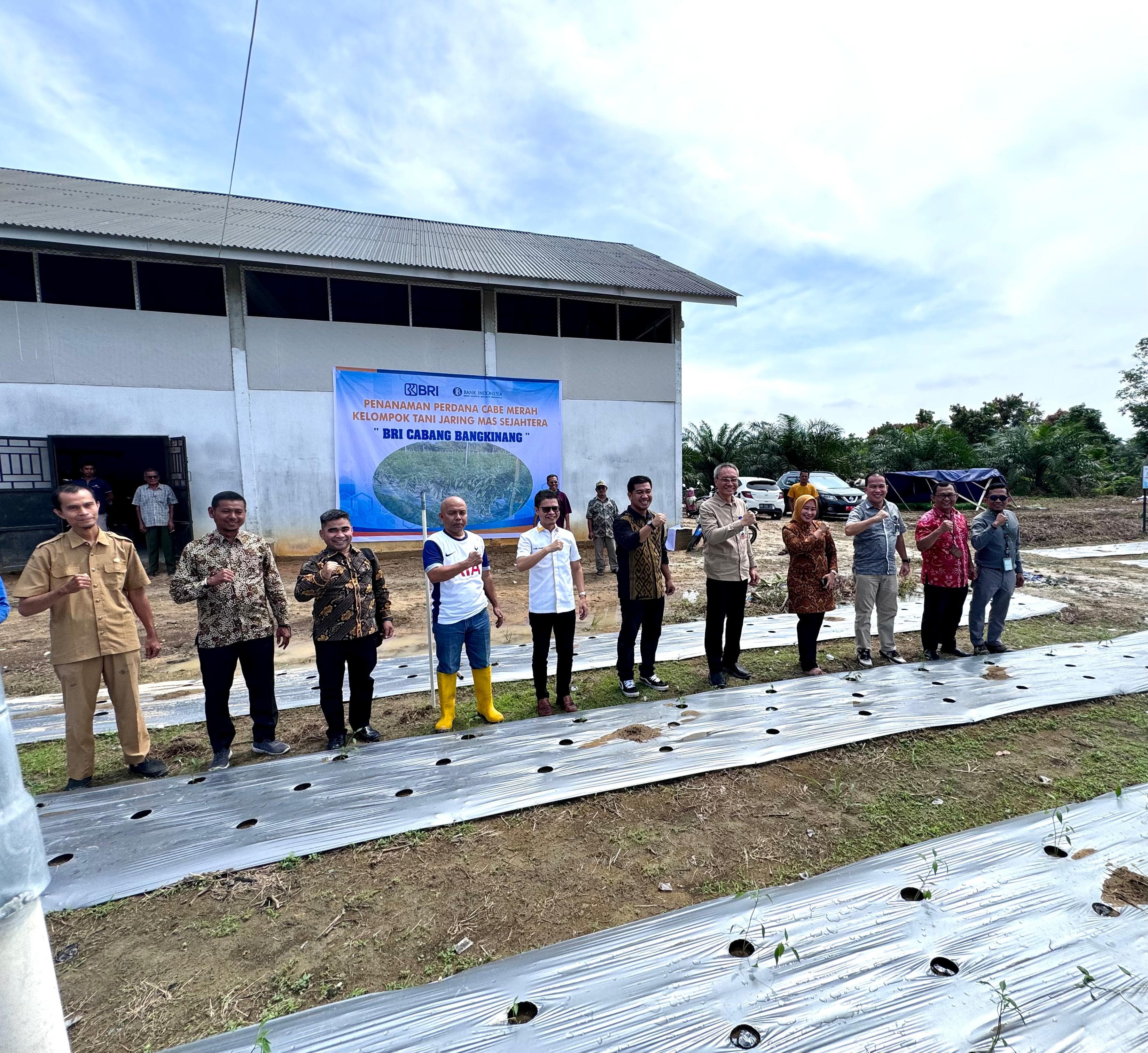 Foto bersama BRI cabang Bangkinang dengan kelompok tani Jaring Mas Sejahtera.