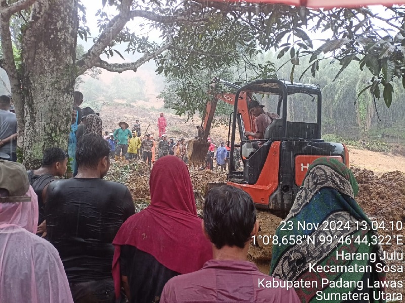 Kondisi wilayah terdampak tanah longsor dan proses pencarian oleh tim gabungan di Desa Harang Julu, Kecamatan Ulu Sosa, Kabupaten Padang Lawas, Sumatera Utara, Sabtu (23/11/2024).