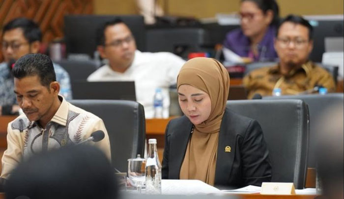 Anggota DPD RI dapil Riau, Sewitri.