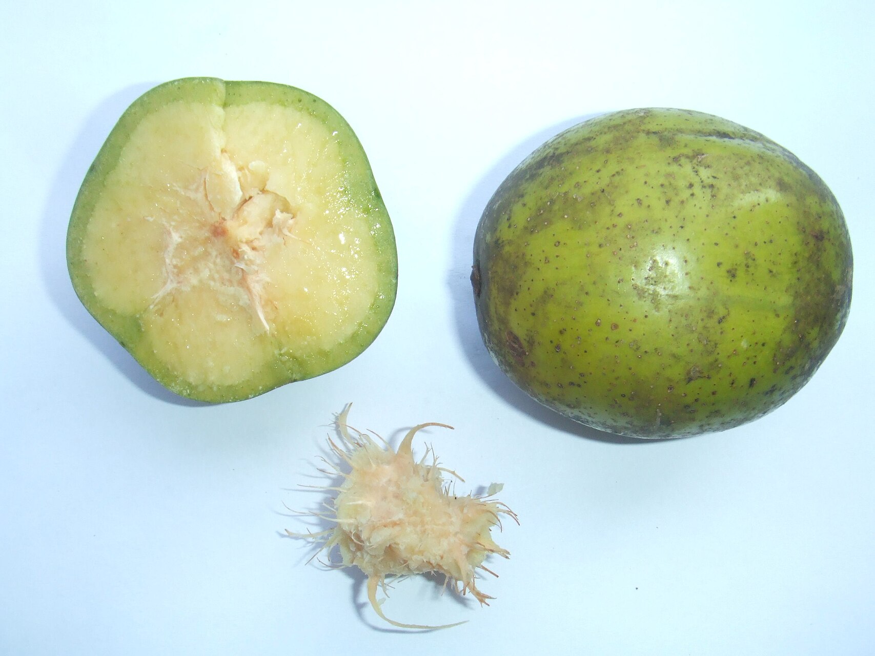 Buah Kedondong memiliki banyak nama baik dalam bahasa Inggris, di Asia Tenggara dan di Indonesia.