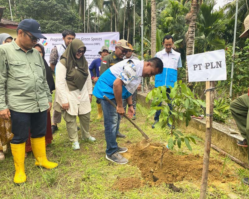 Manager UP Pekanbaru Erryawan Kusuma melakukan penanaman pohon di  sekitar waduk PLTA Koto Panjang, Kamis (28/11/2024).