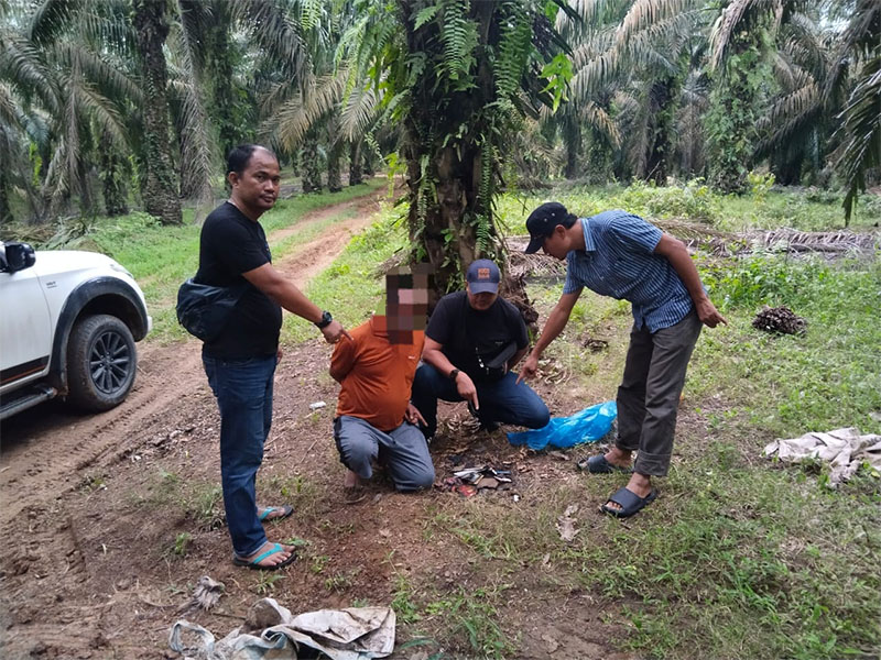 Jajaran Polsek Tapung Hulu meringkus tersangka Doni di gerbang tol Tebing Tinggi Sumut, Ahad (15/12/2024).