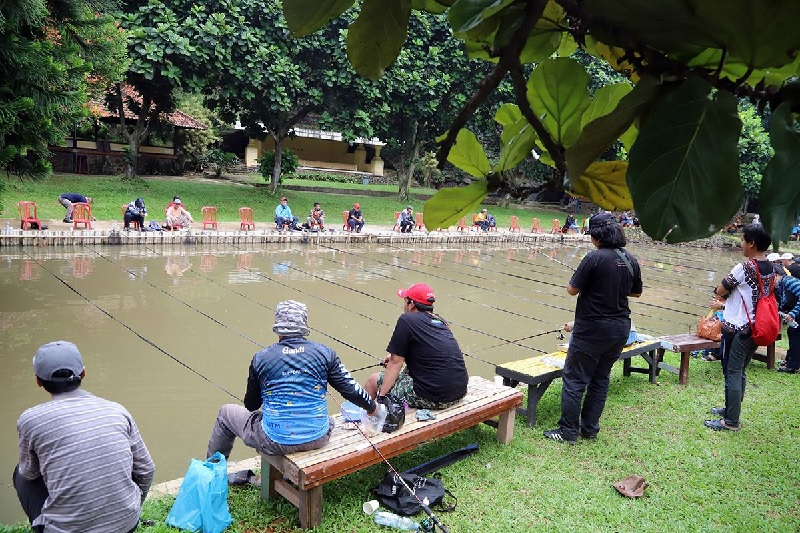 Keseruan lomba Jurnalis Mancing Parlemen (Jumpa) Koodinatoriat Wartawan Parlemen (KWP) dalam rangka Hari Kesetiakawanan Sosial Nasional di Pemancingan Cinangka Indah, Sawangan Baru, Depok, Jawa Barat,