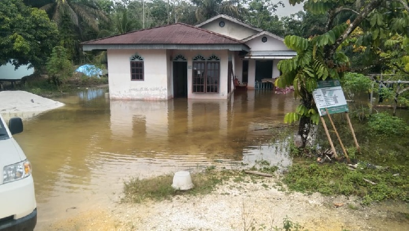 Puluhan rumah warga Desa Sungai Petai terdampak banjir karena meluapnya air Sungai Petai, Kecamatan Kamparkiri Hilir, Kabupaten Kampar, Senin (23/12/2024).