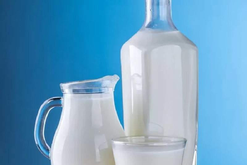 Ilustrasi: Susu kambing punya banyak manfaat untuk kesehatan tubuh.