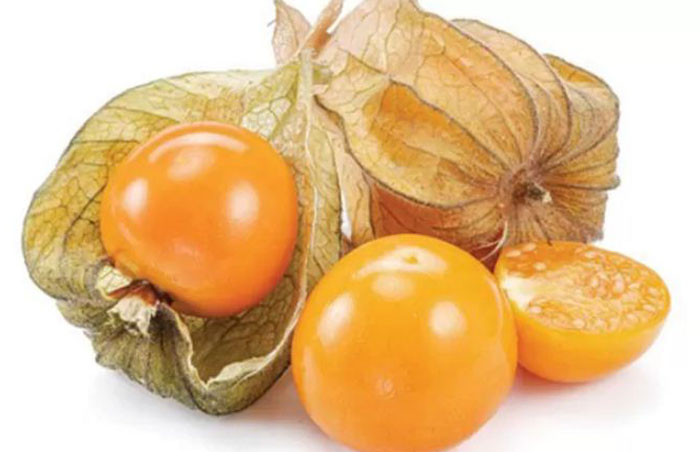 Ilustrasi buah ciplukan. Buah yang biasanya tumbuh liar ini punya banyak manfaat untuk kesehatan.
