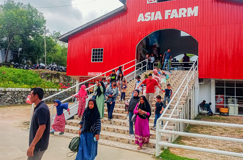Asia Farm Pekanbaru, salah satu destinasi wisata keluarga yang terletak di Jalan Badak Ujung, Kecamatan Tenayan Raya, Kota Pekanbaru, ramai dikunjungi saat hari libur tahun baru. Rabu (1/1/2025)