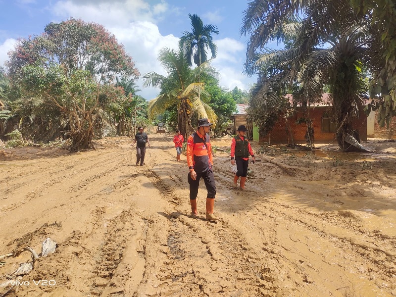 Petugas BPBD Inhil saat berada di lokasi Desa Keritang, Kecamatan Kemuning, Indragiri Hilir.