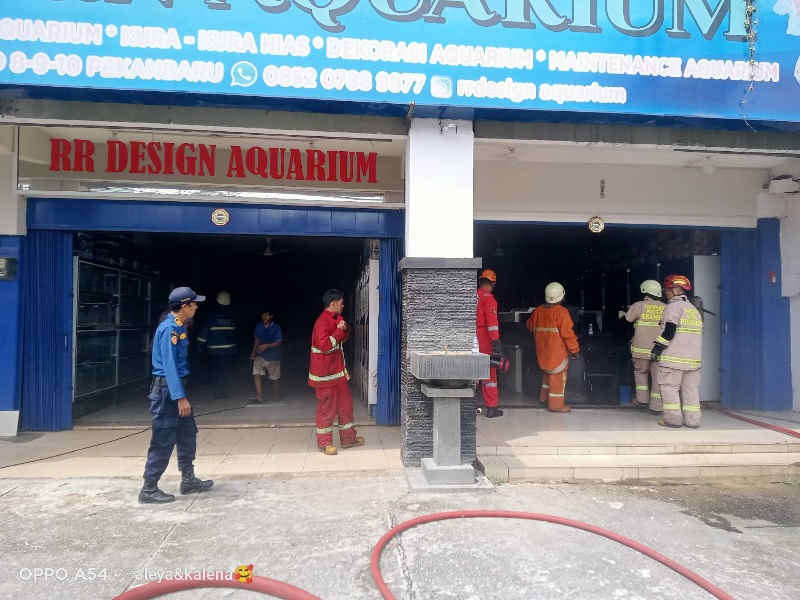Petugas pemadam kebakaran Kota Pekanbaru tengah berupaya memadamkan kebakaran yang terjadi di toko aquarium di Jalan Tuanku Tambusai, Pekanbaru, Selasa (7/1/2025).