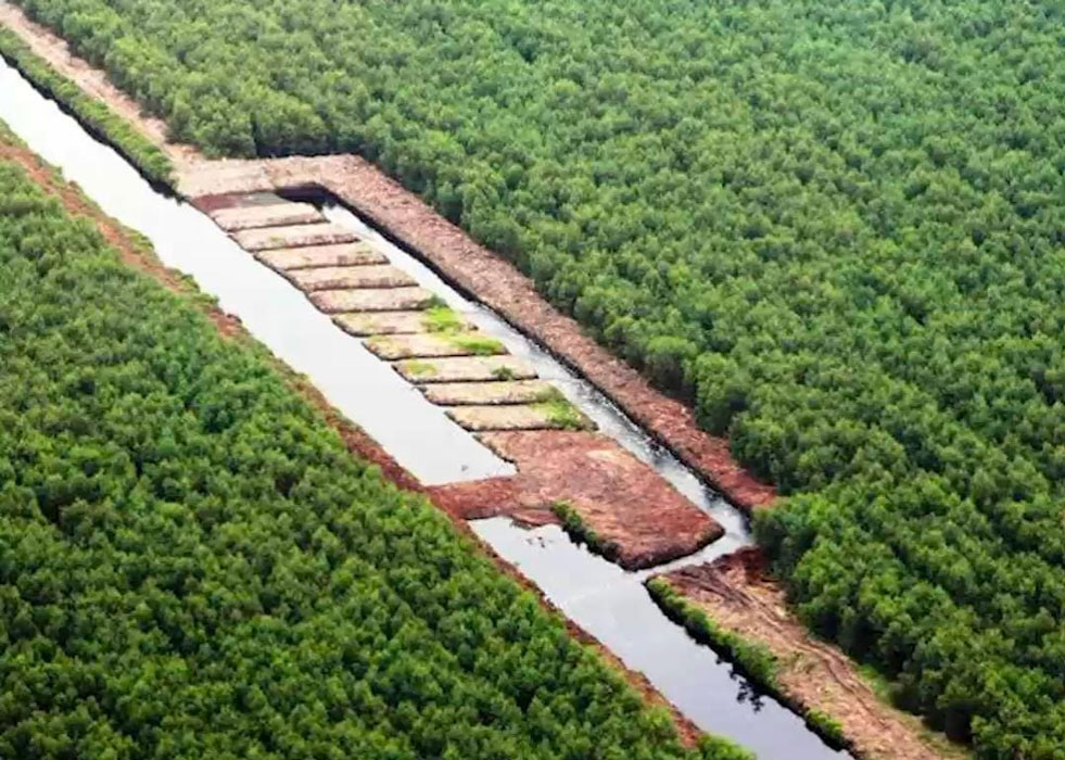 Sekat kanal dan water control yang digunakan RAPP di lahan gambut untuk mengontrol level air di semua areal dan sebagai pemisah antara water zone.
