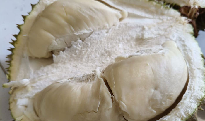 Buah durian memiliki nutrisi yang baik bagi tubuh tapi jangan dikonsumsi berlebihan.