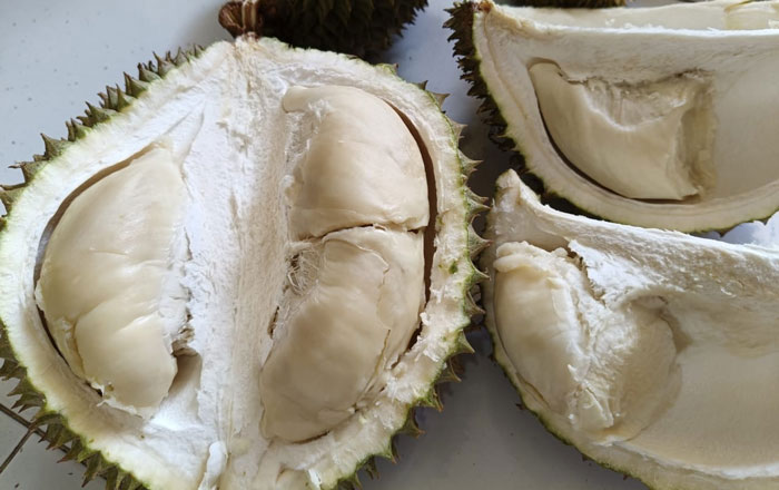 Hindari menyantap beberapa jenis makanan dan minuman bersamaan dengan buah durian karena berdampak kurang baik bagi kesehatan.