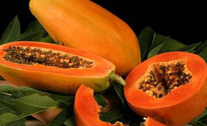 Ilustrasi. Buah pepaya yang dijus dengan campuran perasan air lemon memiliki banyak manfaat untuk tubuh.