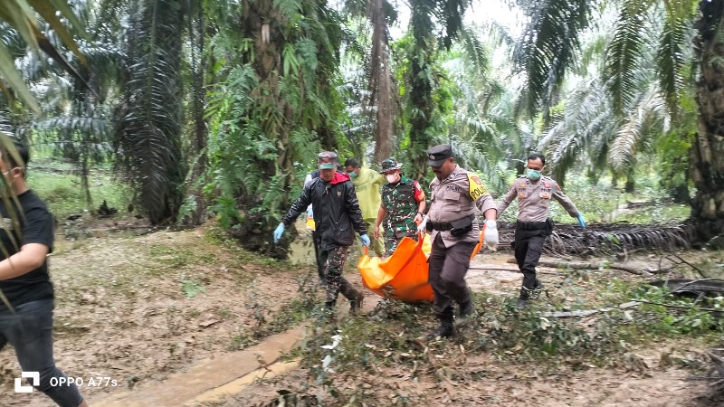 Warga Sungai Langsat Kecamatan Pangena Kuansing ditemukan meninggal, diduga terbawa arus sungai saat penyakitnya kambuh.
