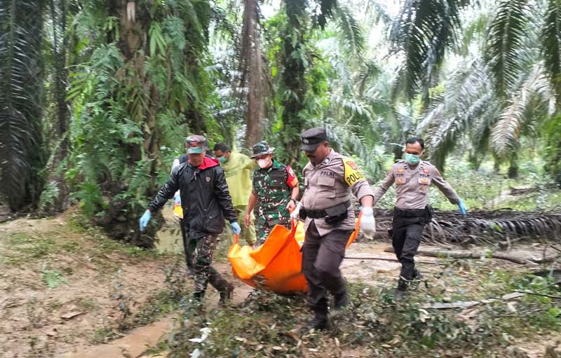 Petugas kepolisian dibantu warga mengevakuasi mayat yang ditemukan di kebun sawit di  Desa Sungai Langsat, Kecamatan Pangean, Kabupaten Kuansing, Senin (13/1/2025).