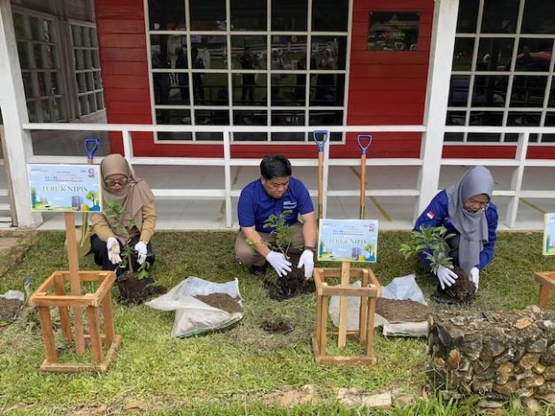 Khas Pekanbaru Hotel menggelar aksi sosial penanaman bibit pohon di lingkungan Asia Farm dalam rangka menyambut hari jadi hotel yang ke-9 tahun, Selasa (14/1/2025).