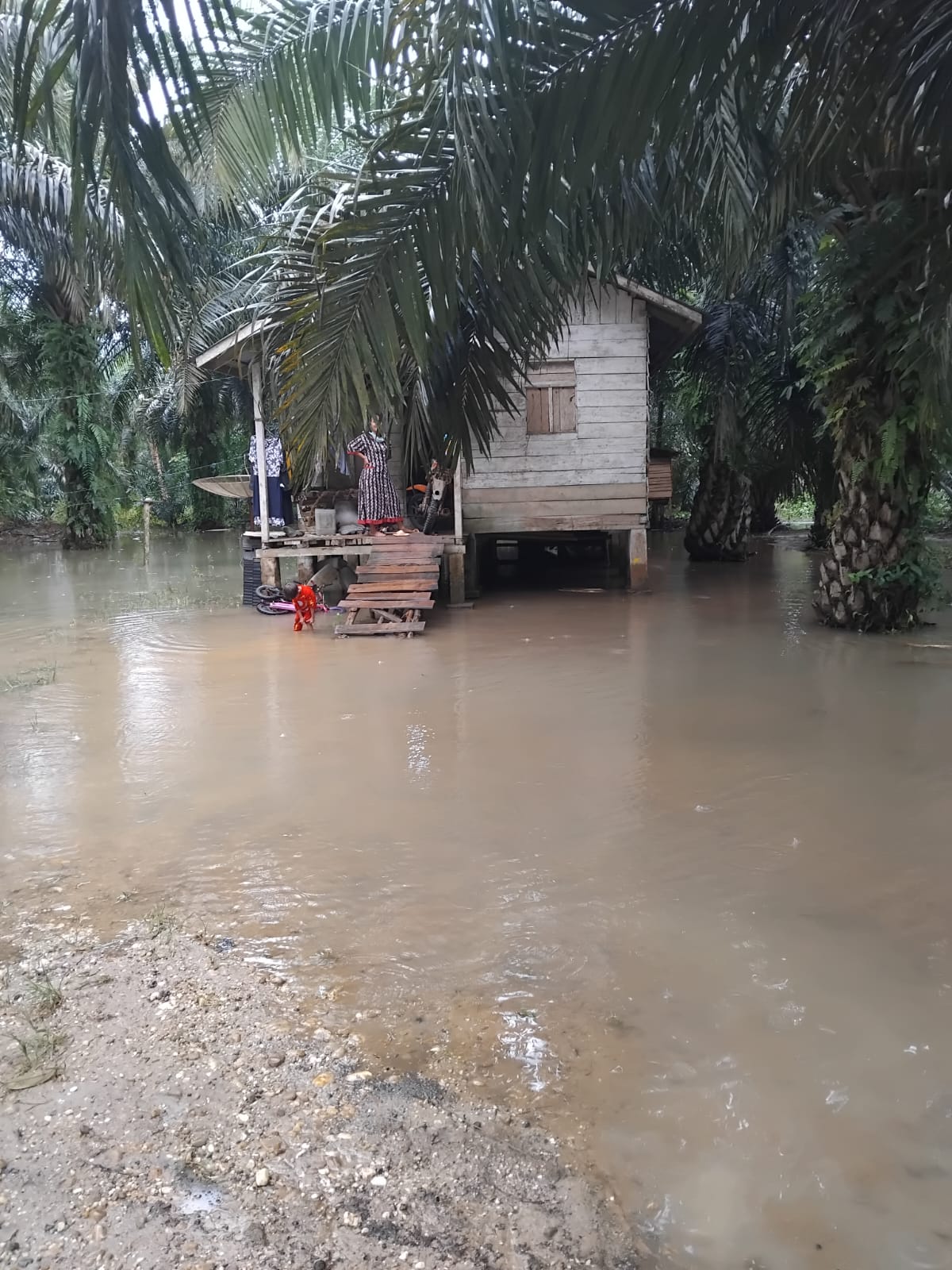 Kecamatan Logas Tanah Darat terdampak banjir akibat meluapnya Sungai Sangkalalo, Jumat (17/1/2025).