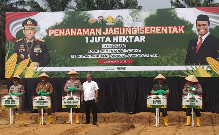 Kapolda Riau Irjen Pol Mohammad Iqbal, Pj Sekdaprov Taufik OH dan Direktur PT Tasma Puja Ketut Sukarwa saat launching penanaman jagung di PT Tasma Puja, Selasa (21/1/2025).