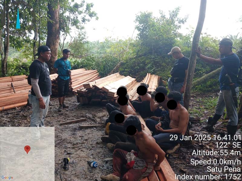Personel Polsek Singingi Hilir, Kabupaten Kuantan Singingi mengamankan tujuh pelaku penebangan liar di kawasan Rimbang Baling, Rabu (29/1/2025).