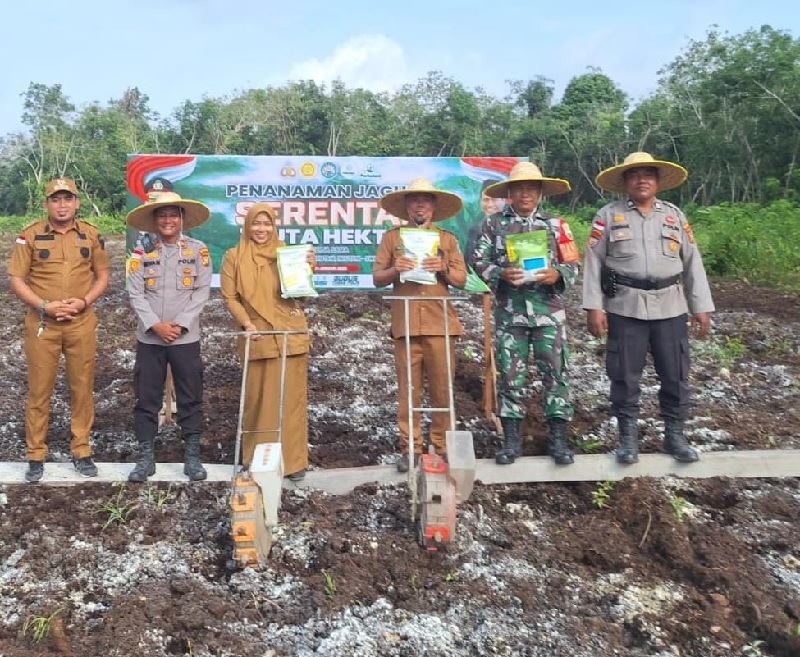 Perluasanlahan garapan mendukung swasembada pangan nasional yang dipusatkan di lahan Mapolsek Rangsang Barat, Senin (3/2/2025).