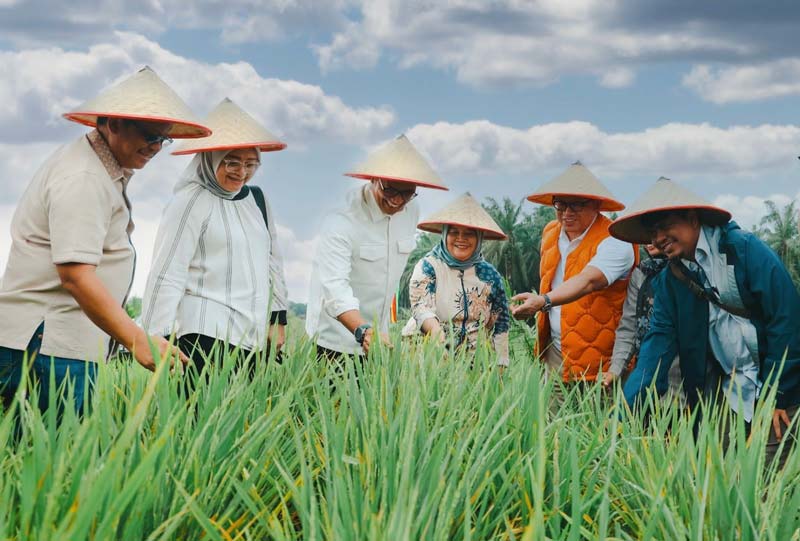 Deputi Bidang Koordinasi Keterjangkauan dan Keamanan Pangan Dr Ir Nani Hendiarti MSc meninjau pilot project program Tanam Padi Perkebunan Nusantara (Tampan).