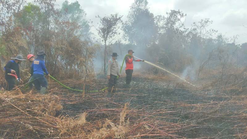 Petugas gabungan berupaya memadamkan api yang membakar lahan gambut di Jalan Lintas Sungai Alam, Selat Baru, Desa Sungai Alam, Kecamatan Bengkalis.