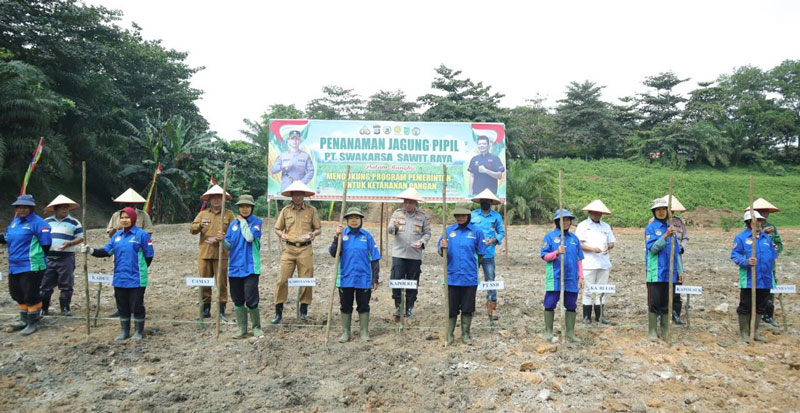 Waka Polres Inhu  Kompol Manapar Situmeang SH SIK MH bersama perwakilan pemerintah daerah serta kelompok tani melakukan penanaman jagung pipil di areal kosong milik PT SSR.