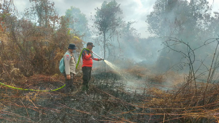 Petugas gabungan melakukan upaya pemadaman api yang membakar lahan gambut di Jalan Lintas Sungai Alam-Selatbatu Desa Sungai Alam Kecamatan Bengkali, Senin (10/2/2025).