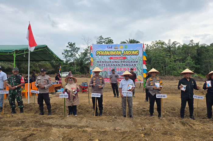Polres Inhu berkolaborasi dengan PT Inscda Plantation dan masyarakat untuk penanaman bibit jagung pipil, Kamis (13/2/2025).