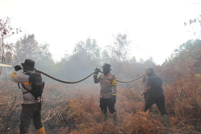Petugas Polres Bengkalis dan BNPB Riau serta BPBD Bengkalis melaksanakan pemadaman kebakaran lahan gambut di Desa Sungai Alam, Jumat (14/2/2025).