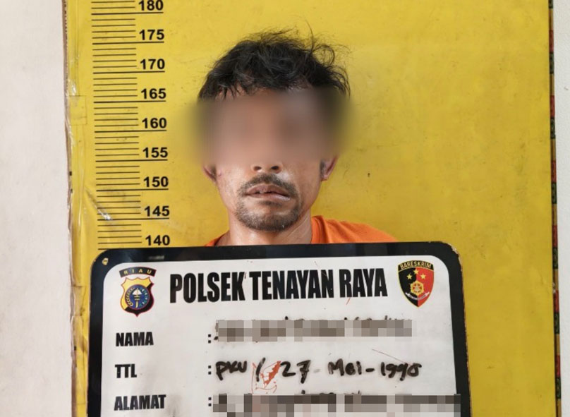 Pelaku SR alias Robin usai dibekuk Unit Reskrim Polsek Tenayan Raya, Jumat (14/2/2025).