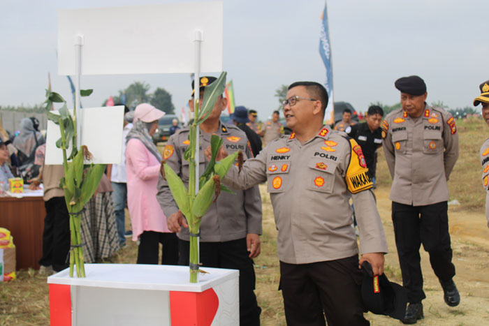 Wakapolresta Pekanbaru AKBP Hengky Poerwanto saat mengecek jagung dalam Gerakan Menanam Jagung di Jalan Naga Sakti, Kota Pekanbaru.