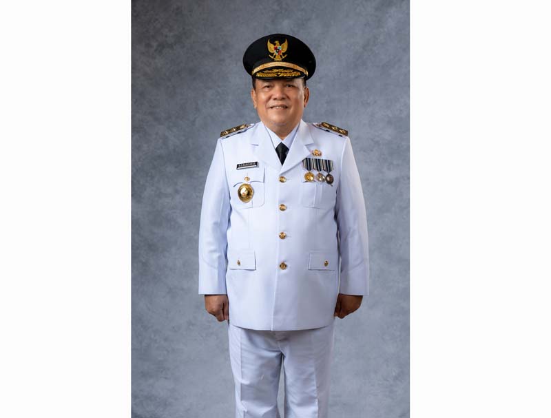 Ir. H.S.F. Hariyanto, M.T, Wakil Gubernur Riau