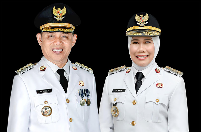 Bupati dan Wakil Bupati Indragiri Hilir, H Herman - Yuliantini