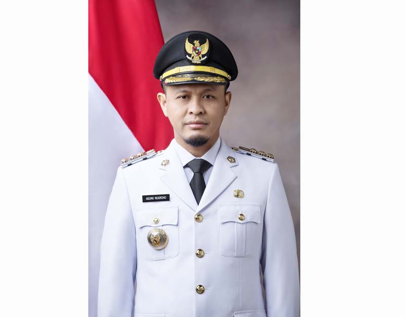 Agung Nugroho, Wali Kota Pekanbaru