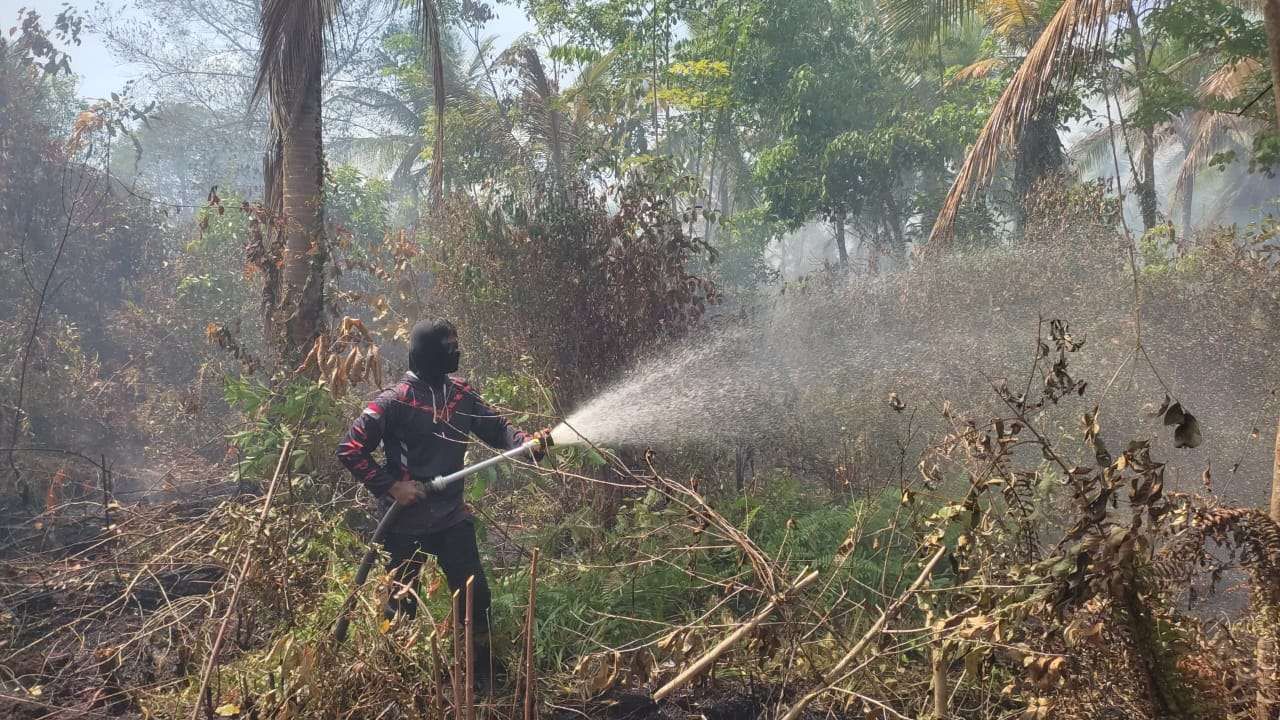 Seorang petugas menyiramkan air pada kebakaran hutan dan lahan (karhutla) di perbatasan Desa Bantan Sari-Pematang Duku, Kecamatan Bengkalis, Sabtu (22/2/2025).