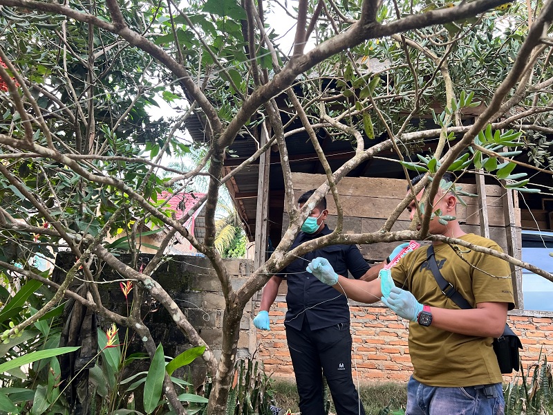Personel Polsek Tambusai melakukan olah TKP di Pohon Kelengkeng atas meninggalnya seorang remaja tersengat arus listrik di salah satu rumah warga di Desa Tingkok. Sabtu (22/2/2025).