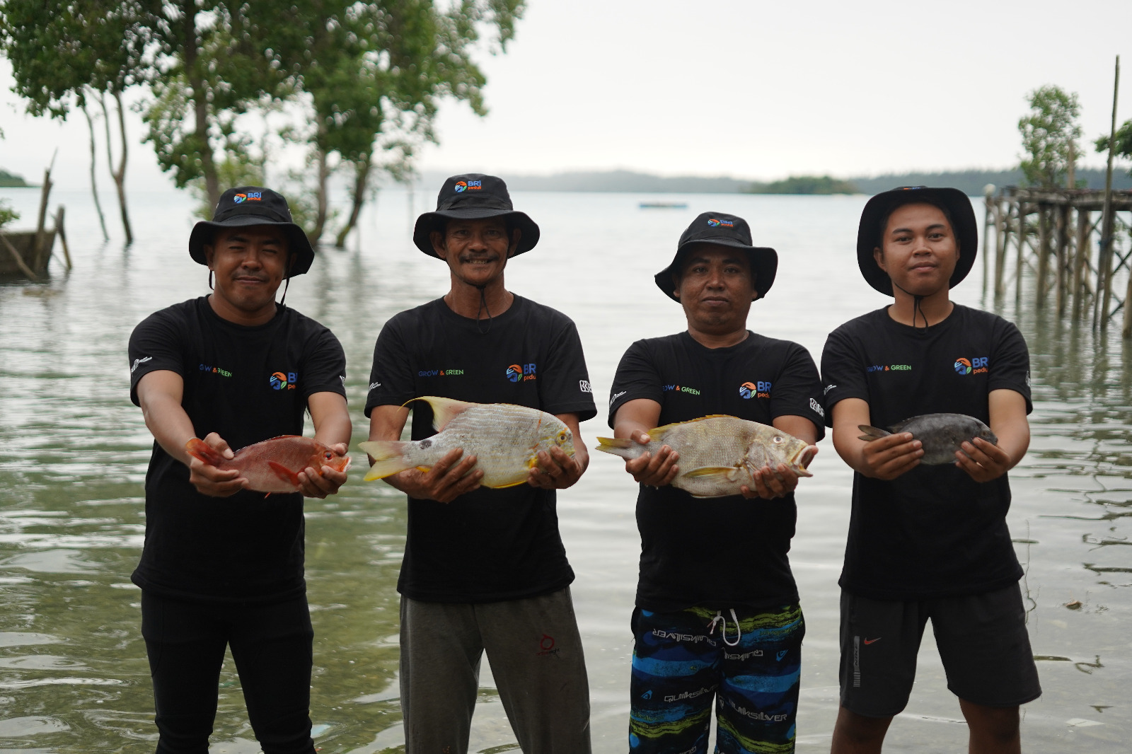 Program BRI Menanam - Grow & Green  wujudkan hasil kerja keras para pelestari lingkungan yang terlibat dalam program transplantasi terumbu karang